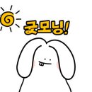 핑크프린세스