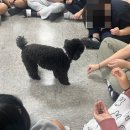 효정중학교 이미지