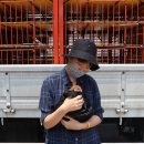 혜린농장 이미지