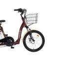 로드스타 이미지