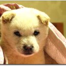 (주)한백산 이미지