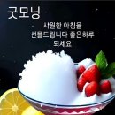 행복한 나무 Daum카페