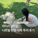동은목장 | 나트랑 판랑 사막투어 | 양떼목장 화장실 옷 시간 복장 가격 아이랑 | 마이리얼트립 내돈내산 후기