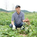 미소산업
