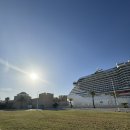 메디나 | 라굴레뜨 출발 바르도 박물관·메디나 시장·시디부사이드 하루 일정 후기 (MSC 크루즈 튀니지 기항지...