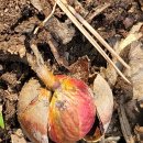 덕풍시장 이미지