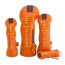 피지에이(PGA) 골프클럽 이미지