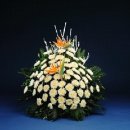 소안초등학교2 이미지