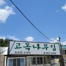 고목나무집 이미지