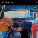그남자의수족관 이미지