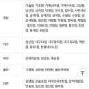 SKT 0데이 멕시카나 배민 할인쿠폰 이미지