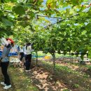 영동읍사무소 이미지