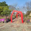 오리들1길 이미지