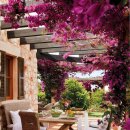 행복의꿈 이미지