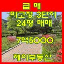 뉴웰빙공인중개사사무소 | [공지] 은평뉴타운 매매 구파발 아파트 전세 월세 초등학교 역세권 북한산조망
