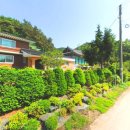 정생리칠성 이미지