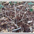 송권농장 이미지