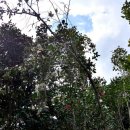 공곶이해변 이미지