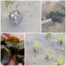 이섭농장 이미지