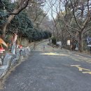 신선대 입구 임도 이미지