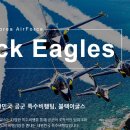 팀블랙