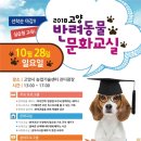 애견미용교실