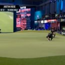 그린샷스크린골프 이미지