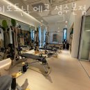 자이로토닉에코 이미지