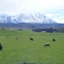 건수목장 이미지