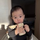 쏟아지는 컵 | 아기 빨대컵추천 새지않는 원터치 이유식빨대컵 토리 후기