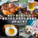 바삭통닭;통닭동백 | 계양구 애견동반식당 중 분위기까지 만족했던 동백별관 (+내돈내산)