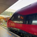 메디치약국 이미지