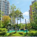 더편한공인중개사사무소 | 옥정신도시 양주아파트 거래, e편한더편한공인중개사를 통해 안심하며 시작하세요!