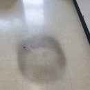 이앤씨벤처드림타워5차 이미지