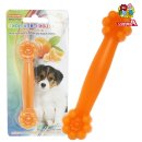 오렌지애견 이미지