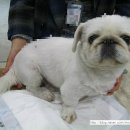 백두동물병원 이미지