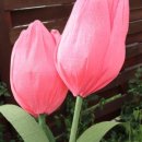 조물락공작소 이미지