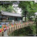 삼천궁녀 - 포항시 북구 칠성천길 19 | 삼천궁녀