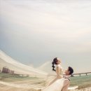 CIEL스튜디오 Daum카페