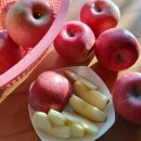 성화농장 | [리뷰] 1% 최상급 부사 꿀사과 과일선물세트 추천! 사과유명한곳 정담아농원 햇사과 부사사과