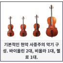 이임숙 | 2026. 6. 5. 김문애 미완성교향곡