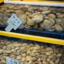 WR(인천광역시 남동구)-89[포구로]-상-1 | 신선한 해산물 득템! 소래포구 횟집 <소래 종성호> 후기 🐚