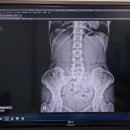 여의도튼튼척의원 이미지