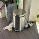 통영767 애견동반펜션 이미지