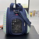 함께냥 대전점 이미지