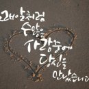 라이온스관광(주)