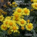 동화조경농원 이미지