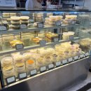 통통이네 이미지