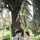 엘린(ellin) 이미지