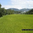 도화리농장 이미지